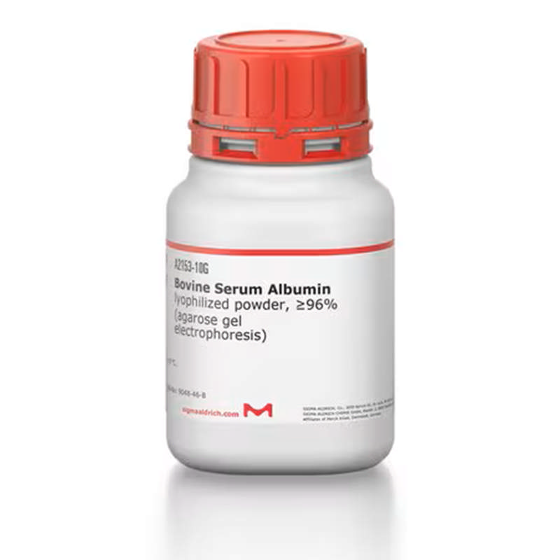 Bovine Serum Albumin